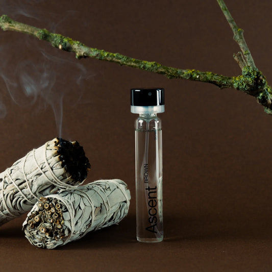 Ascent - Case & Parfum Refill | Brown